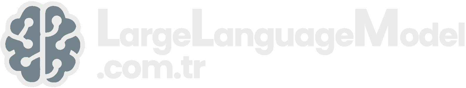 LargeLanguageModel.com.tr